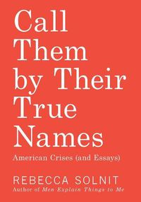 Cover image for Call Them by Their True Names: American Crises (and Essays)