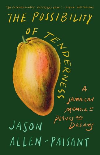 Cover image for The Possibility of Tenderness