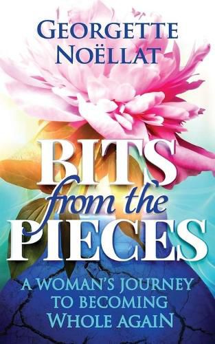 Cover image for Bits from the Pieces