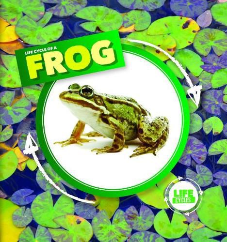 Cover image for Life Cycle of a Frog