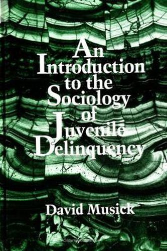 Cover image for An Introduction to the Sociology of Juvenile Delinquency