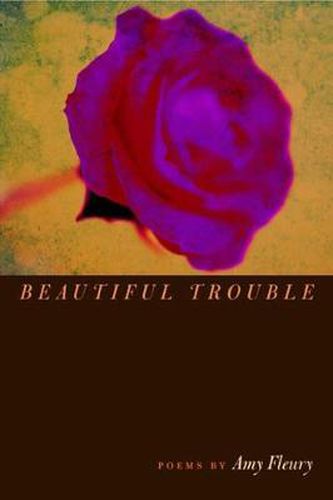 Cover image for Beautiful Trouble