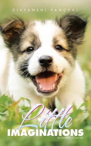 Cover image for Little Imaginations