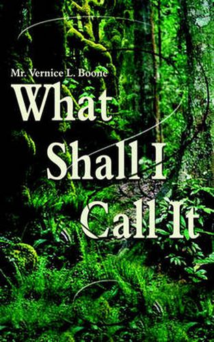 Cover image for What Shall I Call It?