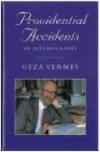 Cover image for Providential Accidents