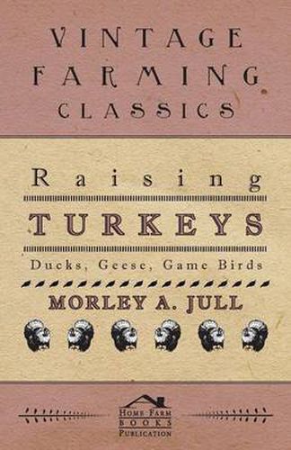 Cover image for Raising Turkeys - Ducks, Geese, Game Birds