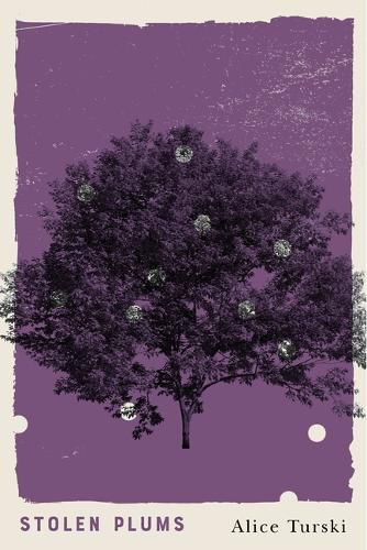 Cover image for Stolen Plums