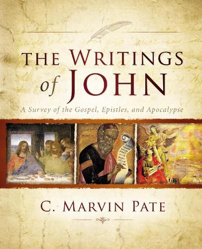 Cover image for The Writings of John: A Survey of the Gospel, Epistles, and Apocalypse