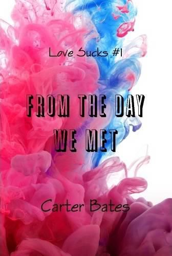 Cover image for From the Day We Met (Love Sucks #1) [Hardcover]