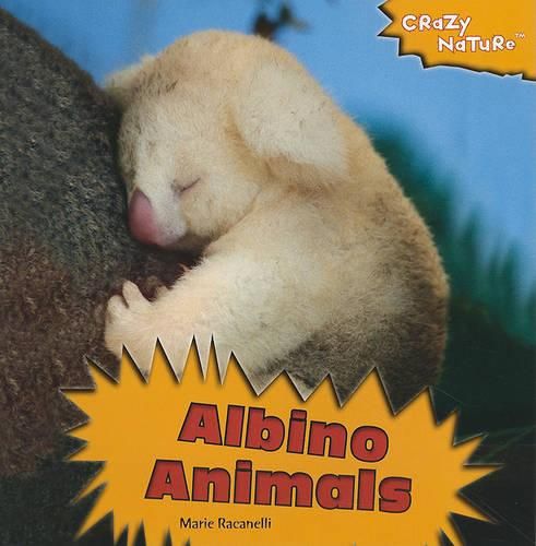 Cover image for Albino Animals