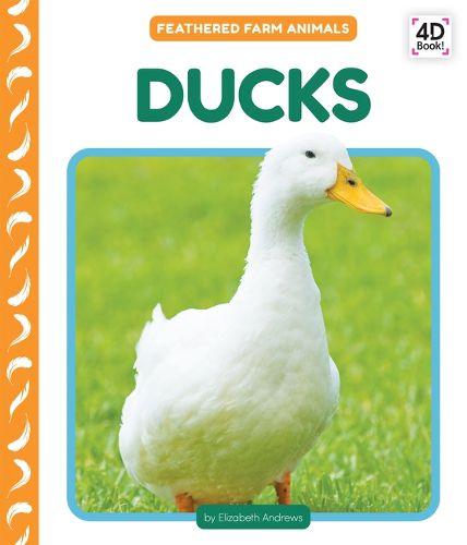 Cover image for Ducks