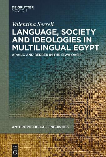 Cover image for Language, Society and Ideologies in Multilingual Egypt