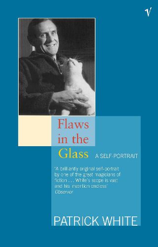 Cover image for Flaws in the Glass