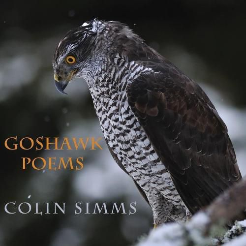 Cover image for Goshawk Poems