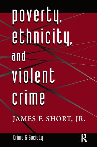 Cover image for Poverty, Ethnicity, And Violent Crime