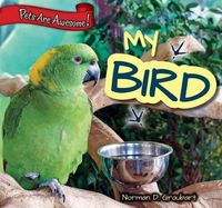 Cover image for My Bird