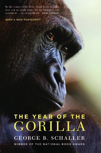 Cover image for The Year of the Gorilla