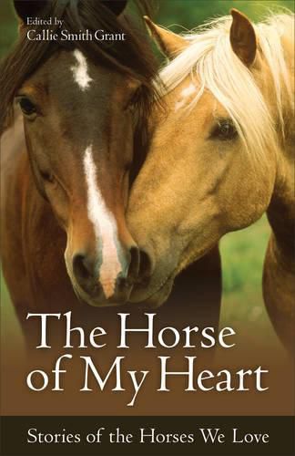 Cover image for The Horse of My Heart - Stories of the Horses We Love