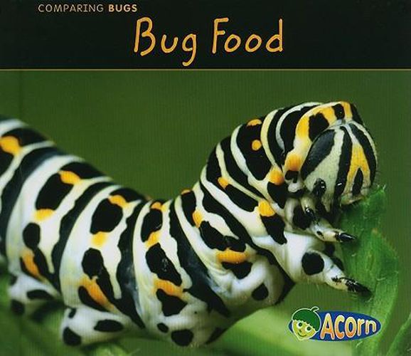 Bug Food