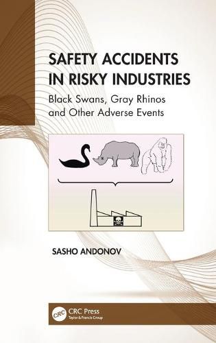 Cover image for Safety Accidents in Risky Industries: Black Swans, Gray Rhinos and Other Adverse Events