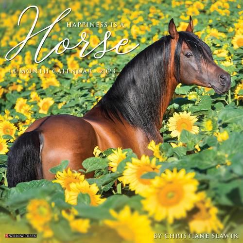 Cover image for Happiness Is a Horse 2023 Wall Calendar