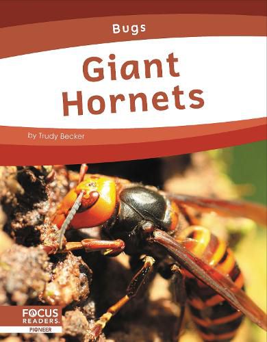 Cover image for Giant Hornets