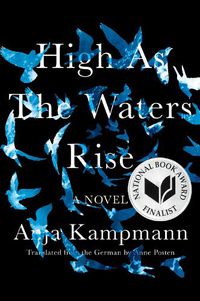 Cover image for High As The Waters Rise: A Novel