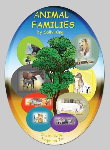 Cover image for Animal Families