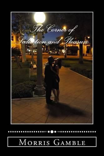 Cover image for The Corner of Seduction and Pleasure