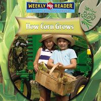 Cover image for How Corn Grows