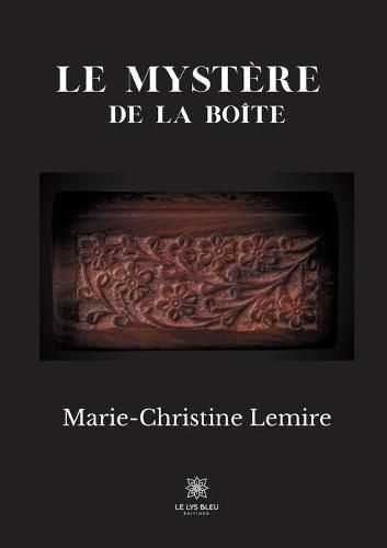 Cover image for Le mystere de la boite