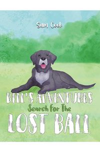 Cover image for Bill's Adventures: Search for the Lost Ball