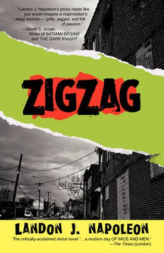 Cover image for Zigzag