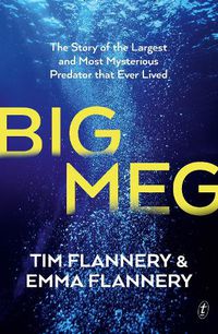 Cover image for Big Meg