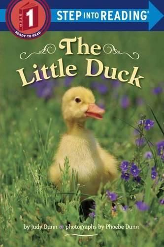 Cover image for The Little Duck