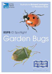 Cover image for RSPB ID Spotlight - Garden Bugs