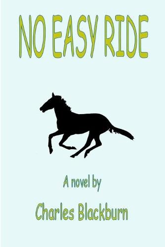 Cover image for No Easy Ride