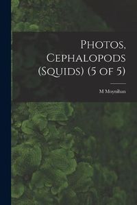 Cover image for Photos, Cephalopods (Squids) (5 of 5)