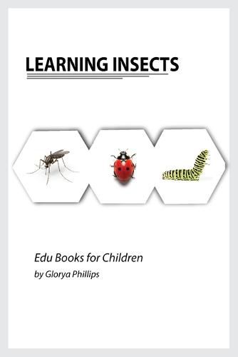 Cover image for Learning Insects: Montessori real insects book for babies and toddlers, bits of intelligence for baby and toddler, children's book, learning resources.