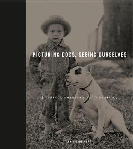 Cover image for Picturing Dogs, Seeing Ourselves: Vintage American Photographs