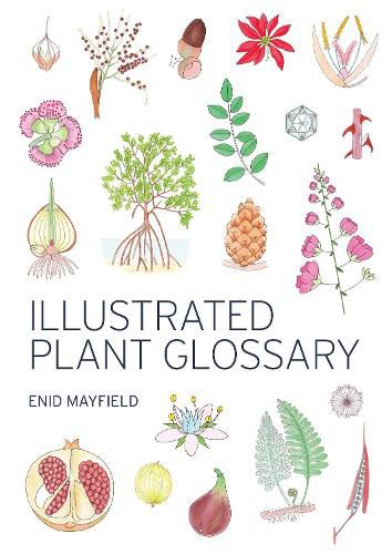 Cover image for Illustrated Plant Glossary