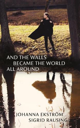 Cover image for And the Walls Became the World All Around