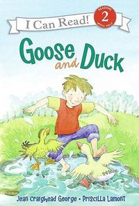 Cover image for Goose and Duck