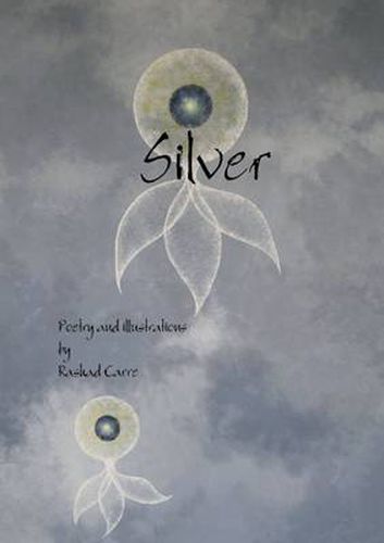 Cover image for Silver
