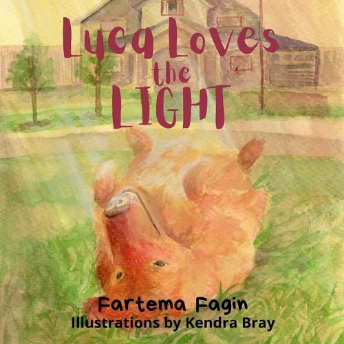 Cover image for Luca Loves The Light