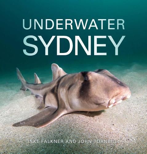 Cover image for Underwater Sydney