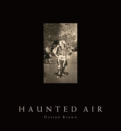 Cover image for Haunted Air