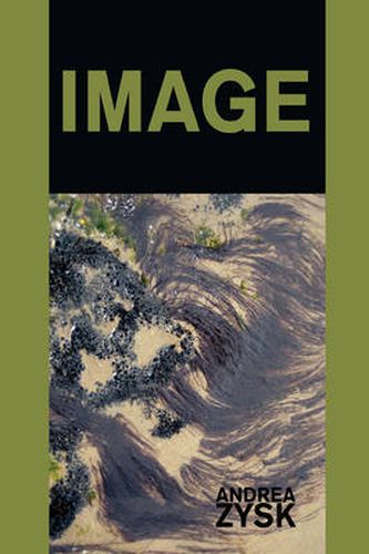 Cover image for Image