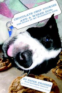 Cover image for Chocolate Chip Cookies and a Wired Dog: (The Story of My Wonderful Life)