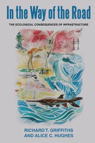 In the way of the Road: The Ecological Consequences of Infrastructure